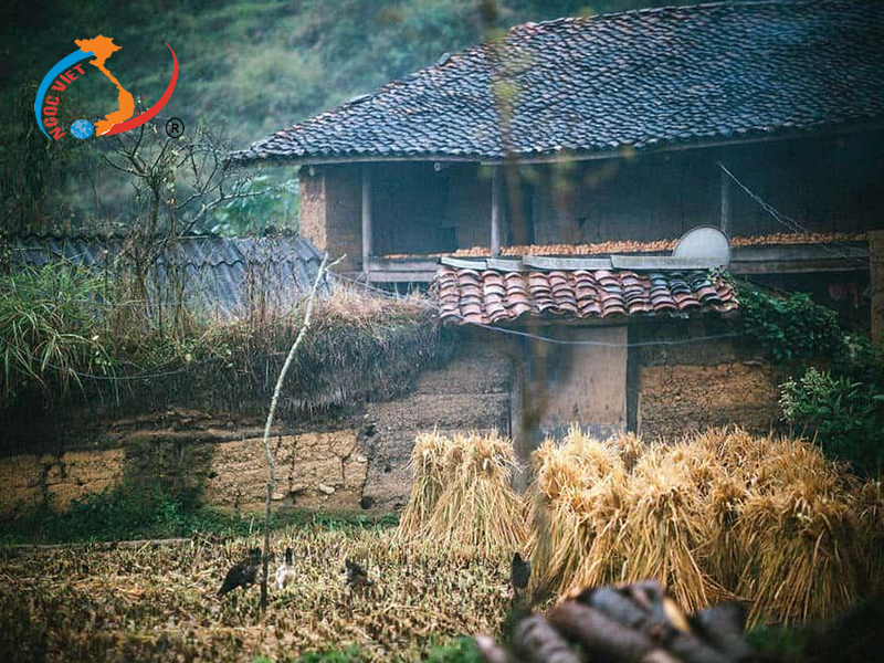 Những ngôi nhà trình tường mái ngói âm dương Những ngôi nhà trình tường mái ngói âm dương