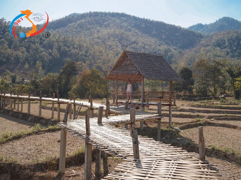 Buddha Bamboo Bridge Pai Buddha Bamboo Bridge Pai