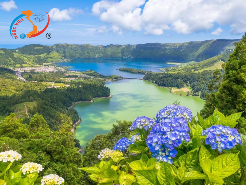 Sống ảo "triệu view" cùng thiên đường cẩm tú cầu tại Bồ Đào Nha Sống ảo "triệu view" cùng thiên đường cẩm tú cầu tại Bồ Đào Nha