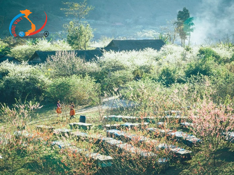 SAPA - LAI CHÂU - ĐIỆN BIÊN - MỘC CHÂU - MAI CHÂU