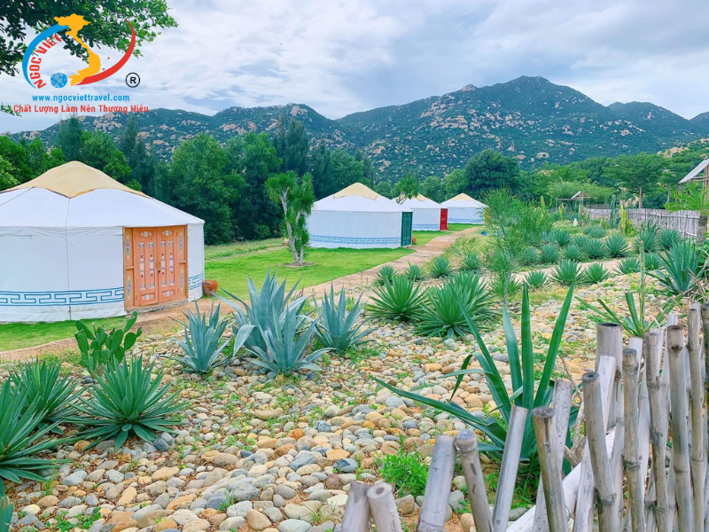 TOUR BÌNH HƯNG - NINH CHỮ - ĂN TÔM HÙM – CƠM MẸT GÀ PHAN RANG - XE VIP LIMOUSINE