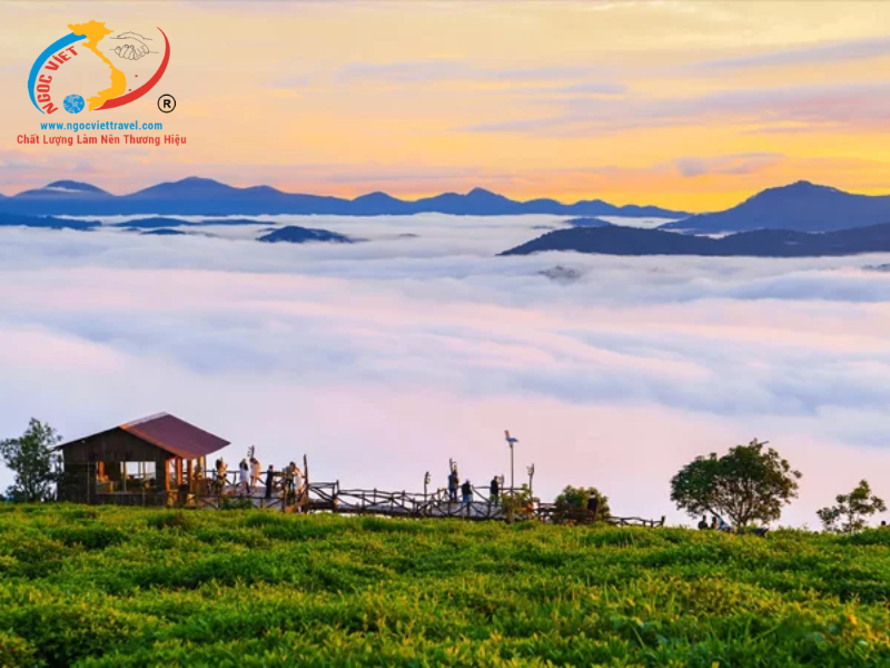 TOUR ĐÀ LẠT - LANGBIANG LAND – QUE GARDEN - KHÁCH SẠN 5 SAO - XE VIP LIMOUSINE