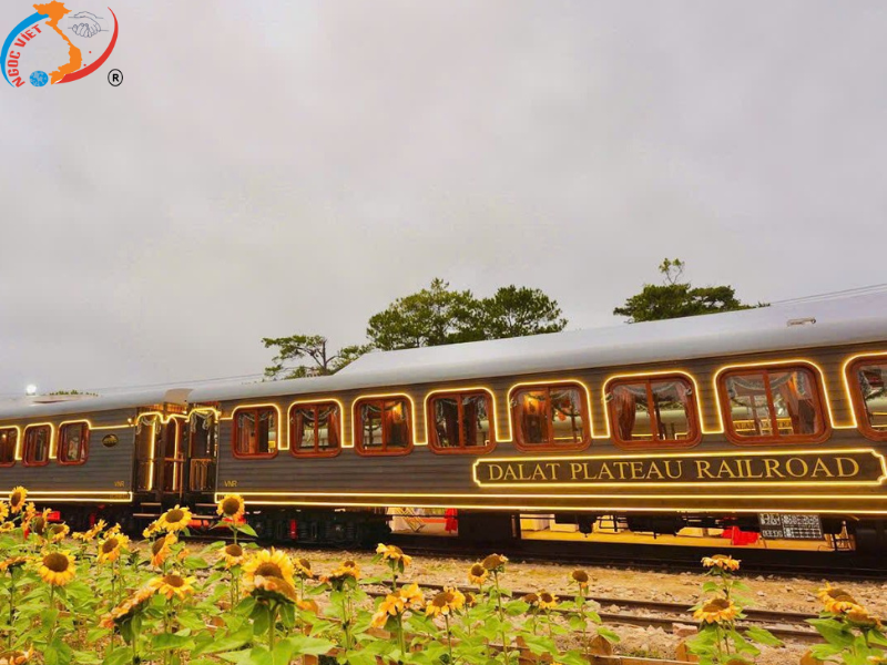 TOUR ĐÀ LẠT - THÀNH PHỐ NGÀN HOA - BESTSELLER MÙA TẾT BÍNH NGỌ